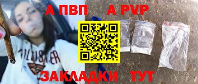 стаф Тула