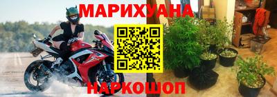 мяу мяу мука Тулун